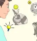 cuidar conejos