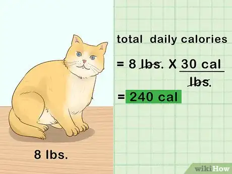 Imagen titulada Count Calories in Your Cat's Food Step 8