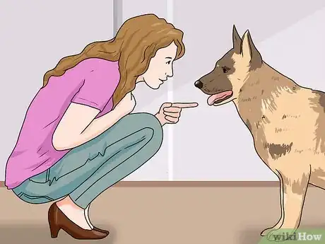 Imagen titulada Teach a Dog to Smile Step 7