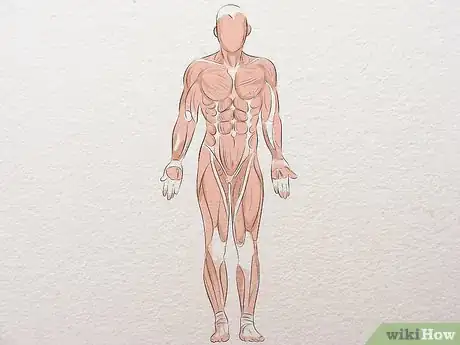 Imagen titulada Learn Anatomy for Drawing Step 5