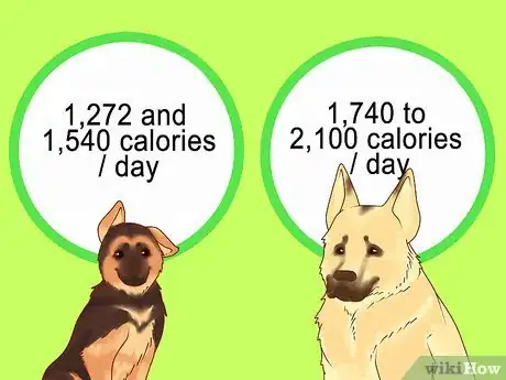 Imagen titulada Make Your German Shepherd Gain Weight Step 10