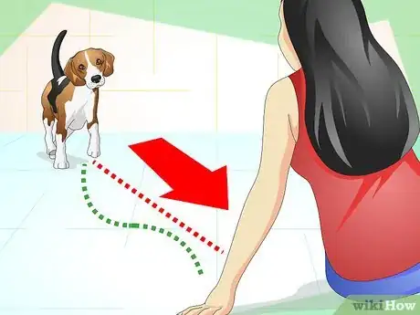 Imagen titulada Understand What Your Dog Wants Step 1