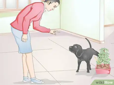 Imagen titulada Stop Pets from Urinating in Your Plants Step 11