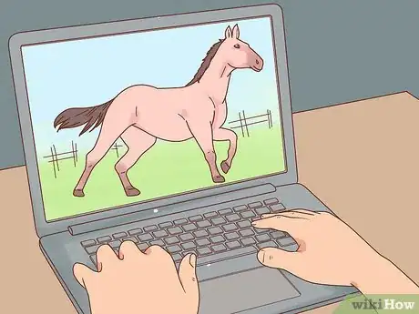 Imagen titulada Overcome Your Fear of Horses Step 1