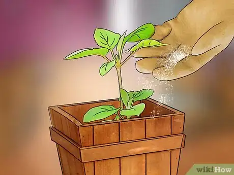 Imagen titulada Place Houseplants Around Your Home Step 12