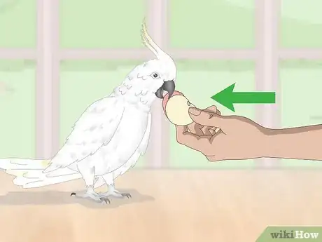 Imagen titulada Deal with an Aggressive Cockatoo Step 10