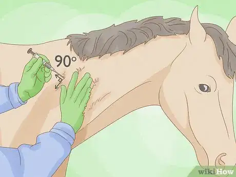 Imagen titulada Give a Horse an Injection Step 18