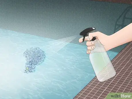 Imagen titulada Keep Bugs Out of a Pool Step 3