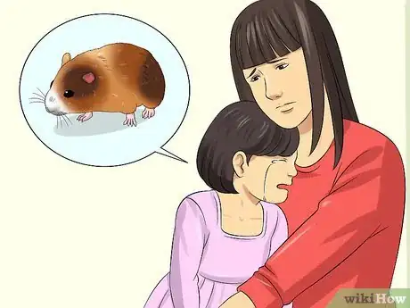 Imagen titulada Euthanize a Sick Hamster Step 12