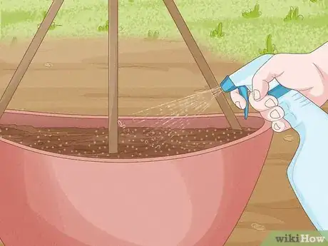 Imagen titulada Grow Cucumbers in Pots Step 13