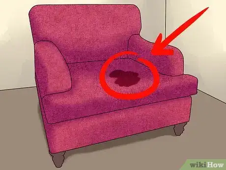 Imagen titulada Remove the Smell of Cat or Dog Urine from Upholstery Step 1