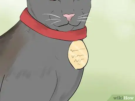 Imagen titulada Tell if Your Cat Is Blind Step 13