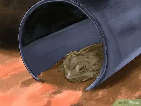 Imagen titulada Care for a Sick Bearded Dragon Step 14