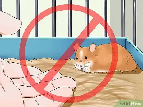 Imagen titulada Make Your Hamster Trust You Step 5