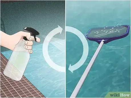 Imagen titulada Keep Bugs Out of a Pool Step 7