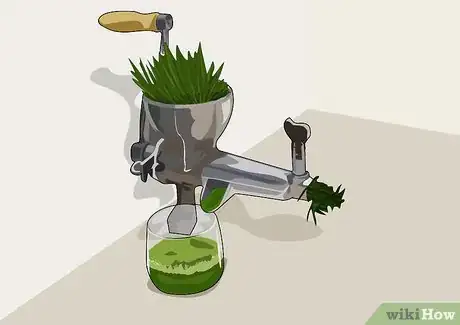 Imagen titulada Juice Wheatgrass Step 6