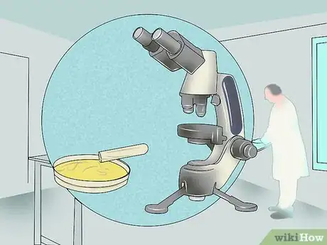 Imagen titulada Measure Bacterial Growth Step 2