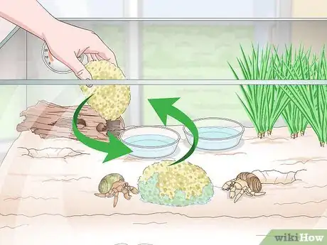 Imagen titulada Maintain Humidity in a Pet Hermit Crab Habitat Step 11