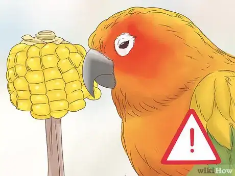 Imagen titulada Spot Signs of Disease in Conures Step 10