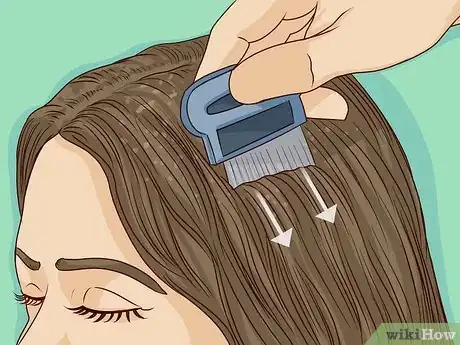 Imagen titulada Remove Nits from Hair Step 6