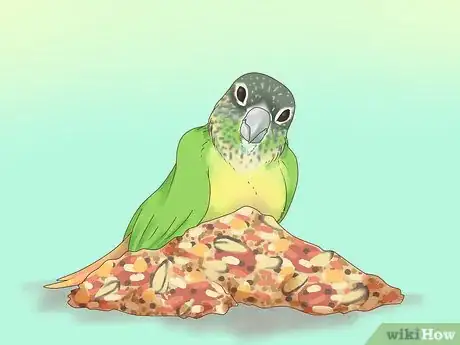 Imagen titulada Feed a Conure Step 3