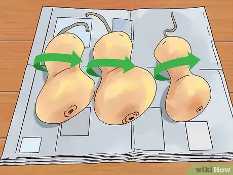 Imagen titulada Dry Gourds for Decorating Step 4