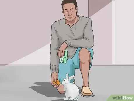 Imagen titulada Teach Your Rabbit to Come when Called Step 10