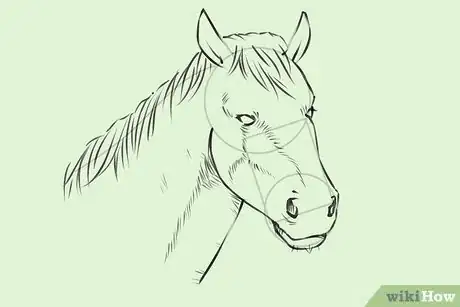 Imagen titulada Draw a Horse Step 19