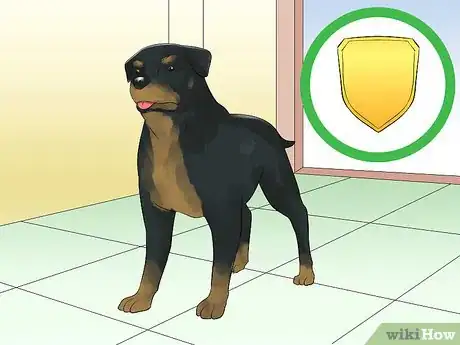 Imagen titulada Train a Rottweiler to Be a Guard Dog Step 8