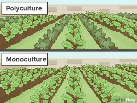 Imagen titulada Practice Sustainable Agriculture Step 5