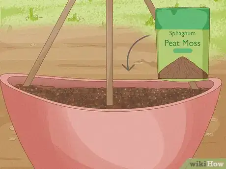 Imagen titulada Grow Cucumbers in Pots Step 14