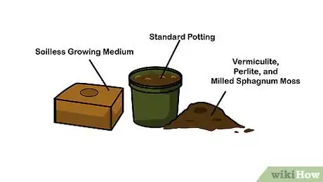 Imagen titulada Germinate Seeds Step 3