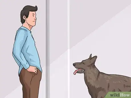 Imagen titulada Teach a Dog to Smile Step 4