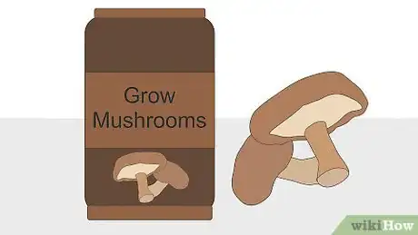 Imagen titulada Grow Mushrooms Indoors Step 13