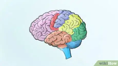 Imagen titulada Draw a Brain Step 13