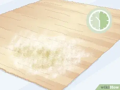 Imagen titulada Clean a Jute Rug Step 12