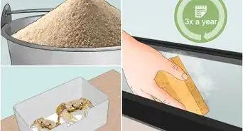 cuidar de un cangrejo