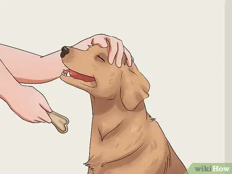 Imagen titulada Get Your Dog to Swallow a Pill Step 17