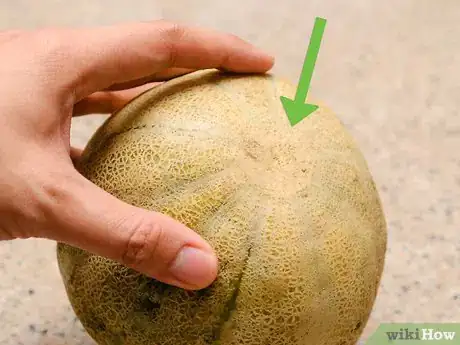 Imagen titulada Ripen a Cantaloupe Step 8