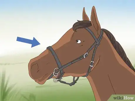 Imagen titulada Tack up a Horse Step 11