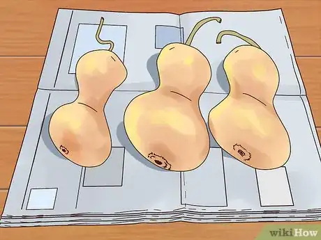 Imagen titulada Dry Gourds for Decorating Step 3