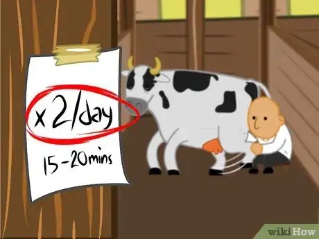 Imagen titulada Get a Cow With Nerve Damage to Her Hind Legs from a Long Birth or Hard Pull to Stand Up Step 10Bullet2