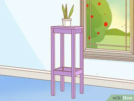 Imagen titulada Protect Your Houseplants from Pets Step 1