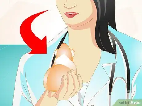 Imagen titulada Look After Your Sick Guinea Pig Step 1