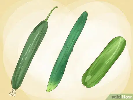 Imagen titulada Grow Cucumbers Step 7