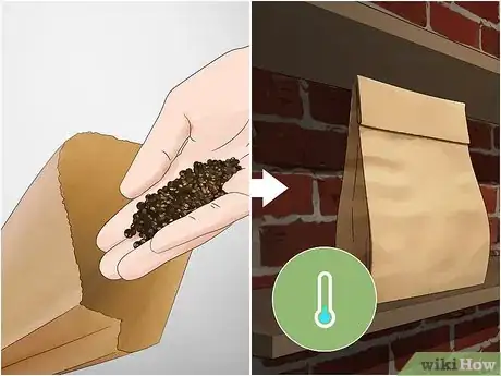 Imagen titulada Grow Rosemary from Seed Step 5