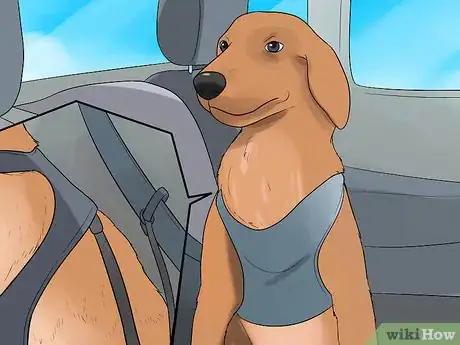 Imagen titulada Calm a Nervous Dog in the Car Step 1