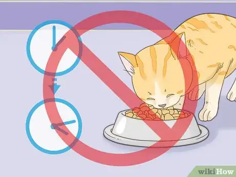 Imagen titulada Get Your Cat to Purr Step 11