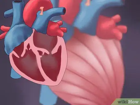 Imagen titulada Determine Cardiac Output Step 16