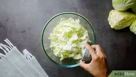 Imagen titulada Make Sauerkraut Step 1